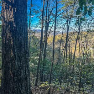 Photo #30 of TBD PEACEFUL LN, LOVINGSTON, VA 47.1 acres