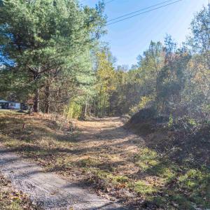 Photo #15 of TBD PEACEFUL LN, LOVINGSTON, VA 47.1 acres