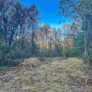 Photo #19 of TBD PEACEFUL LN, LOVINGSTON, VA 47.1 acres