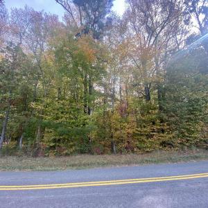 Photo #5 of CHAPEL DR, BUMPASS, VA 5.0 acres