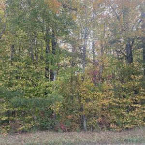 Photo #2 of CHAPEL DR, BUMPASS, VA 5.0 acres