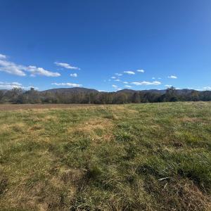 Photo #25 of tbd lot 4 ISLAND FORD RD, ELKTON, VA 2.5 acres
