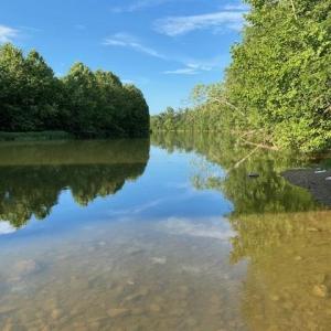 Photo #23 of tbd lot 4 ISLAND FORD RD, ELKTON, VA 2.5 acres