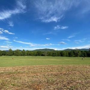 Photo #26 of tbd lot 4 ISLAND FORD RD, ELKTON, VA 2.5 acres