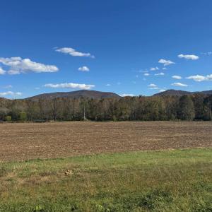 Photo #20 of tbd lot 4 ISLAND FORD RD, ELKTON, VA 2.5 acres