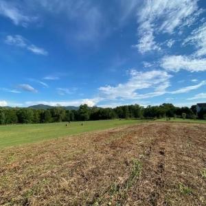 Photo #21 of tbd lot 4 ISLAND FORD RD, ELKTON, VA 2.5 acres