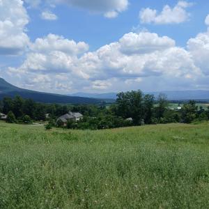 Photo #2 of 1165 FREDERICK RD, ROCKINGHAM, VA 0.4 acres