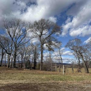 Photo #1 of OLD HOMEPLACE LN, BRIGHTWOOD, VA 51.2 acres