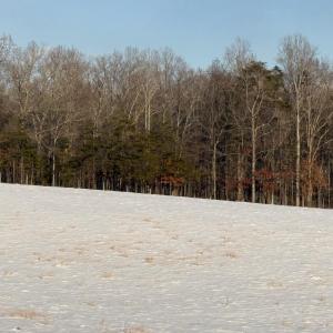 Photo #13 of OLD HOMEPLACE LN, BRIGHTWOOD, VA 51.2 acres