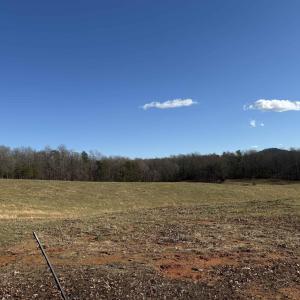 Photo #3 of OLD HOMEPLACE LN, BRIGHTWOOD, VA 51.2 acres