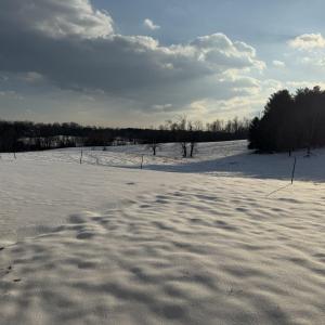 Photo #12 of OLD HOMEPLACE LN, BRIGHTWOOD, VA 51.2 acres