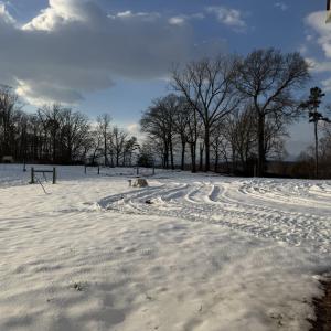 Photo #11 of OLD HOMEPLACE LN, BRIGHTWOOD, VA 51.2 acres