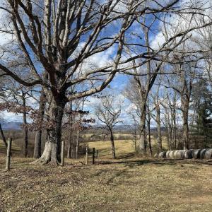 Photo #8 of OLD HOMEPLACE LN, BRIGHTWOOD, VA 51.2 acres