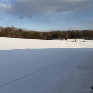 Photo #10 of OLD HOMEPLACE LN, BRIGHTWOOD, VA 51.2 acres