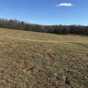Photo #6 of OLD HOMEPLACE LN, BRIGHTWOOD, VA 51.2 acres