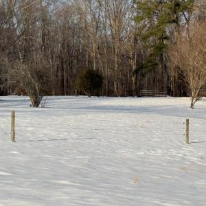 Photo #14 of OLD HOMEPLACE LN, BRIGHTWOOD, VA 51.2 acres