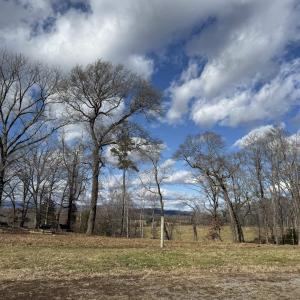 Photo #9 of OLD HOMEPLACE LN, BRIGHTWOOD, VA 51.2 acres