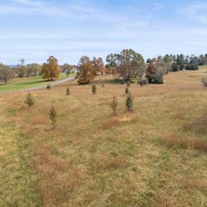 Photo #6 of Lot 1A PRIVADO LN, WAYNESBORO, VA 5.1 acres