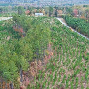 Photo #43 of TBA RIDGE RD, ARVONIA, VA 26.9 acres