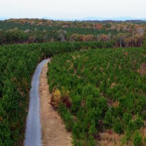 Photo #34 of TBA RIDGE RD, ARVONIA, VA 26.9 acres