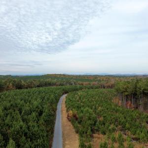 Photo #31 of TBA RIDGE RD, ARVONIA, VA 26.9 acres