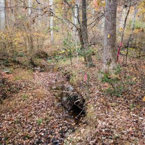 Photo #16 of TBA RIDGE RD, ARVONIA, VA 26.9 acres