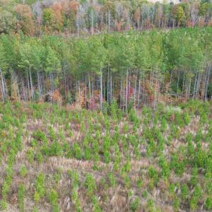 Photo #40 of TBA RIDGE RD, ARVONIA, VA 26.9 acres