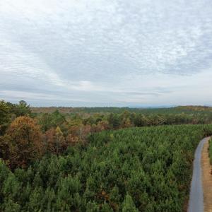 Photo #3 of TBA RIDGE RD, ARVONIA, VA 26.9 acres