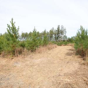 Photo #28 of TBA RIDGE RD, ARVONIA, VA 26.9 acres