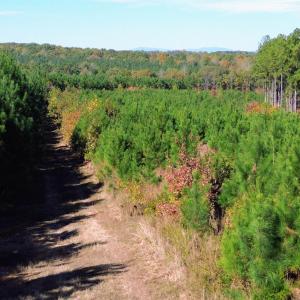 Photo #53 of TBA RIDGE RD, ARVONIA, VA 26.9 acres