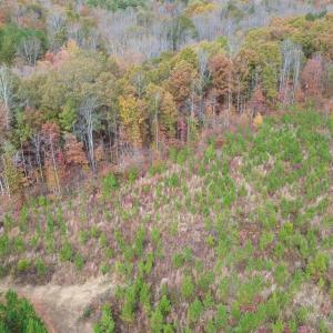Photo #39 of TBA RIDGE RD, ARVONIA, VA 26.9 acres