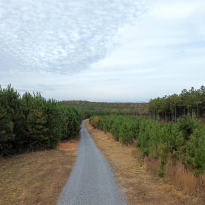 Photo #30 of TBA RIDGE RD, ARVONIA, VA 26.9 acres