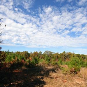 Photo #49 of TBA RIDGE RD, ARVONIA, VA 26.9 acres