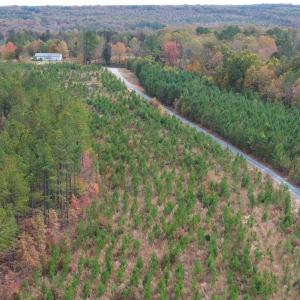 Photo #44 of TBA RIDGE RD, ARVONIA, VA 26.9 acres