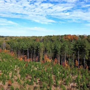 Photo #50 of TBA RIDGE RD, ARVONIA, VA 26.9 acres