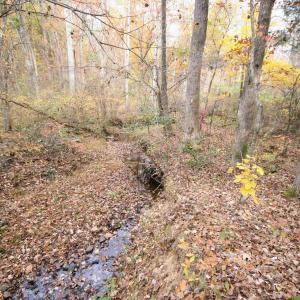 Photo #15 of TBA RIDGE RD, ARVONIA, VA 26.9 acres