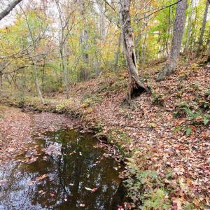 Photo #9 of TBA RIDGE RD, ARVONIA, VA 26.9 acres
