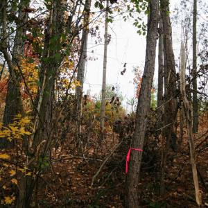 Photo #25 of TBA RIDGE RD, ARVONIA, VA 26.9 acres