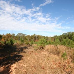 Photo #47 of TBA RIDGE RD, ARVONIA, VA 26.9 acres