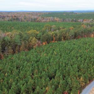 Photo #36 of TBA RIDGE RD, ARVONIA, VA 26.9 acres