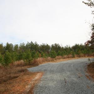 Photo #26 of TBA RIDGE RD, ARVONIA, VA 26.9 acres