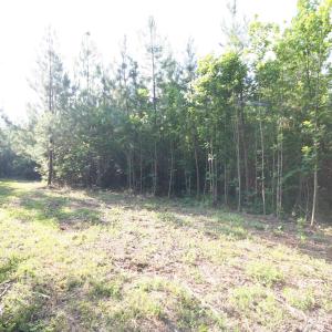 Photo #48 of TBA RIDGE RD, ARVONIA, VA 26.9 acres