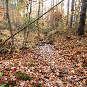 Photo #22 of TBA RIDGE RD, ARVONIA, VA 26.9 acres