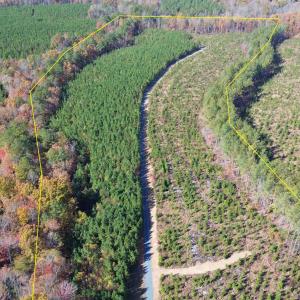 Photo #2 of TBA RIDGE RD, ARVONIA, VA 26.9 acres