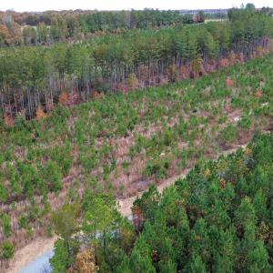 Photo #40 of TBA RIDGE RD, ARVONIA, VA 26.9 acres