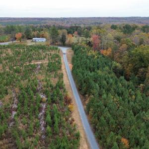 Photo #37 of TBA RIDGE RD, ARVONIA, VA 26.9 acres