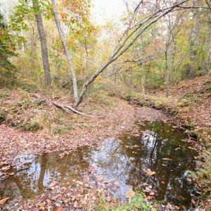 Photo #6 of TBA RIDGE RD, ARVONIA, VA 26.9 acres