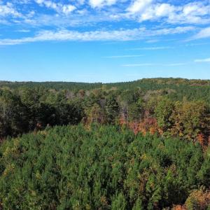 Photo #52 of TBA RIDGE RD, ARVONIA, VA 26.9 acres