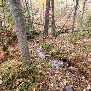 Photo #21 of TBA RIDGE RD, ARVONIA, VA 26.9 acres
