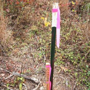 Photo #19 of TBA RIDGE RD, ARVONIA, VA 26.9 acres